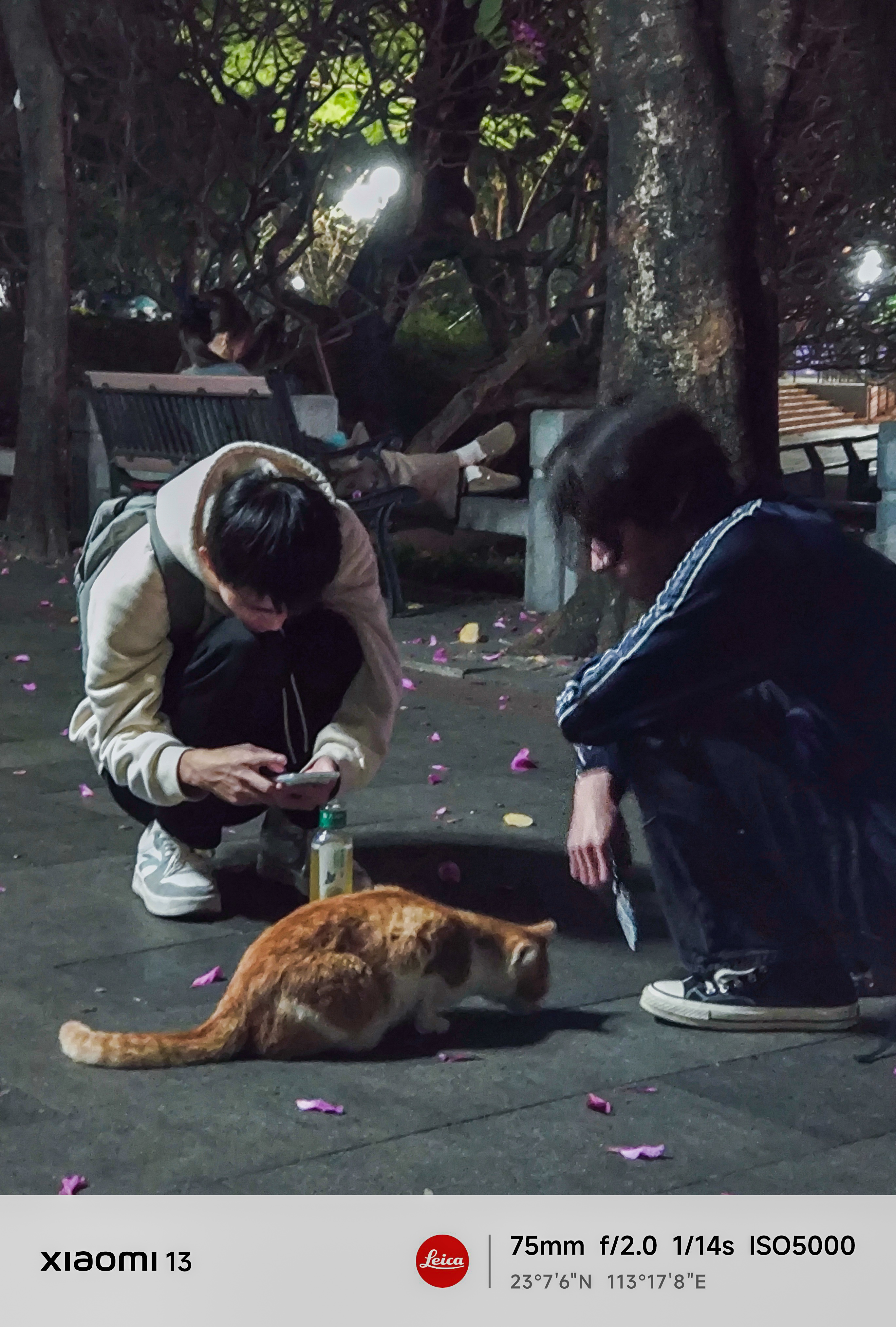 门将视角：喂猫